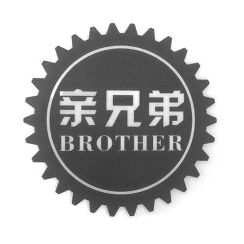 亲兄弟算什么关系