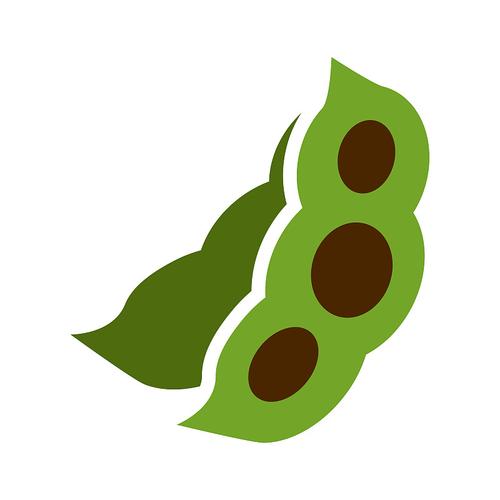 所谓的豆豆到底是什么