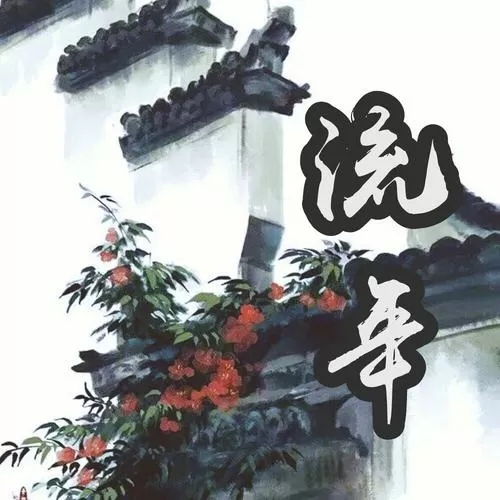 含有流年的成语