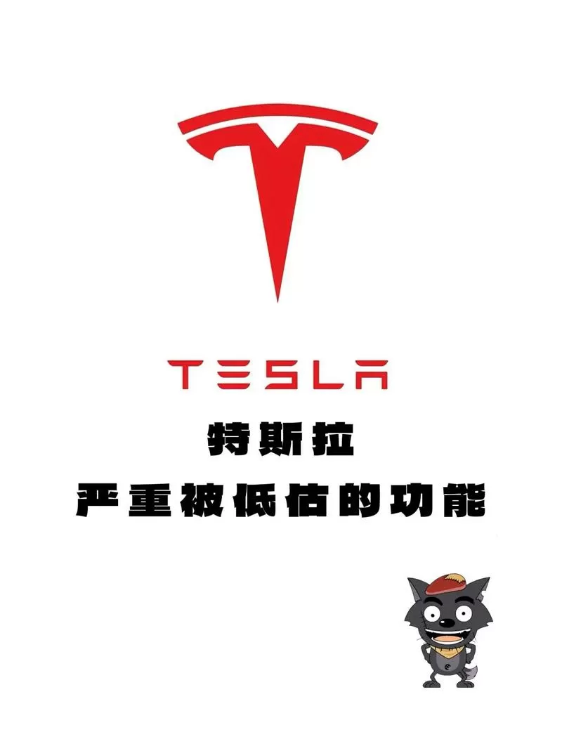 买特斯拉的都是什么人