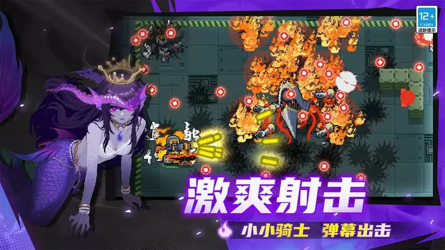 元气骑士池鹭破解7.9