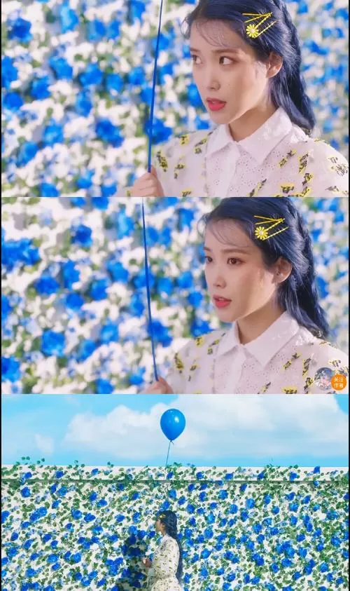 blueming mv解析