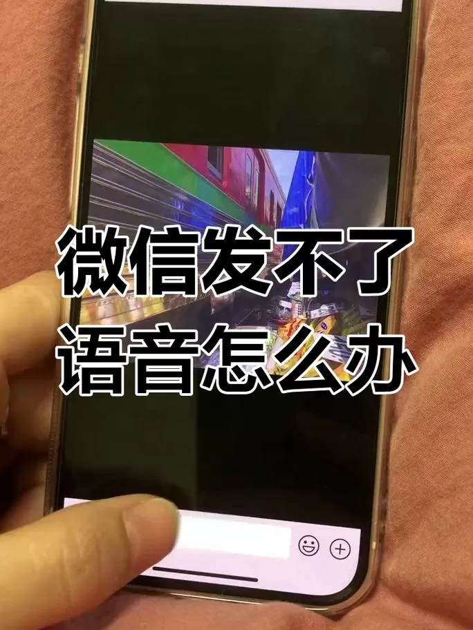 手机只能发语音不能打字怎么回事
