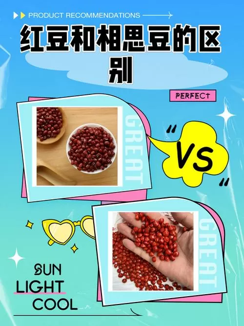 相思红豆和吃的红豆一样吗