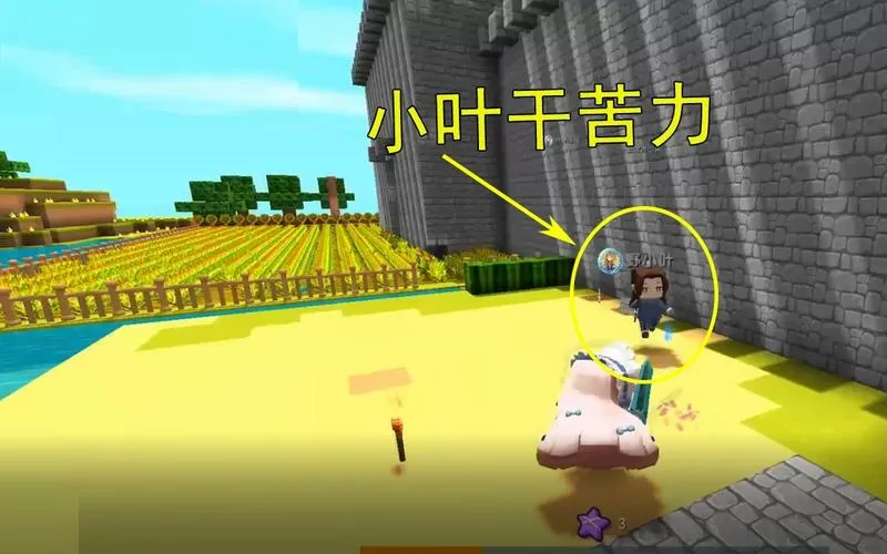 野小叶迷你世界生存解说视频