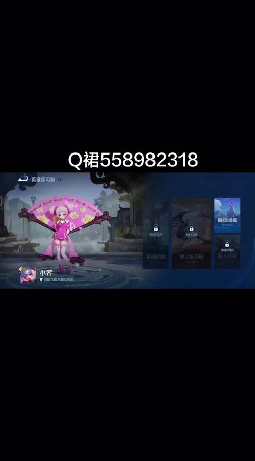 王者单机全皮肤软件