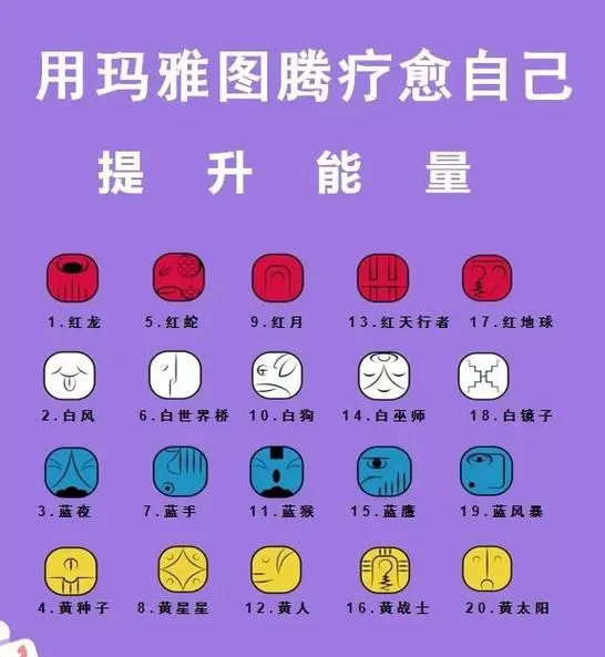 生命能量仪使用方法