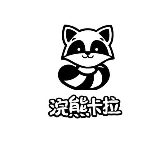浣熊17启动器