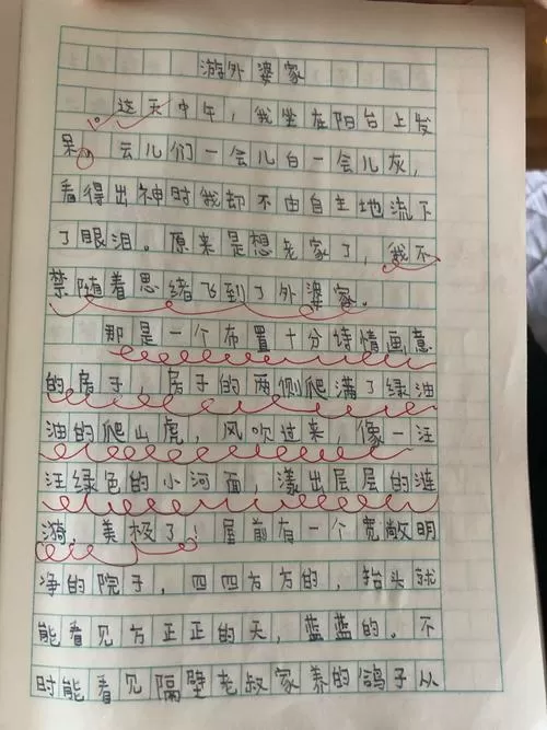 去外婆家的日记350字