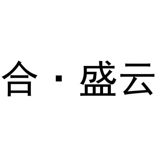 盛云科技有限公司截图
