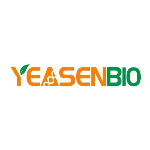 yeasen公司官网