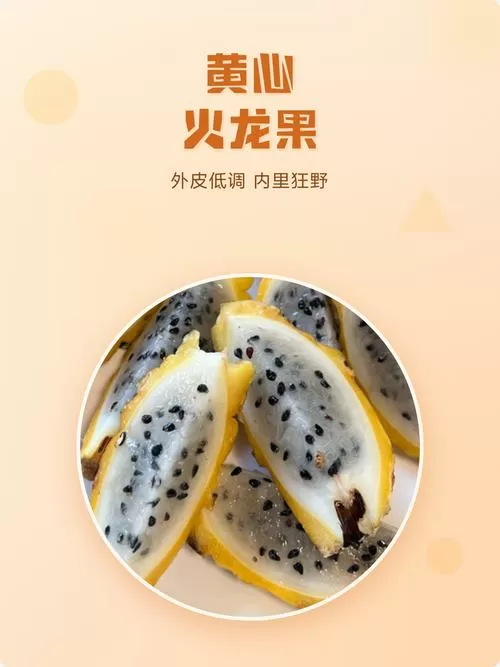 黄心火龙果的作品