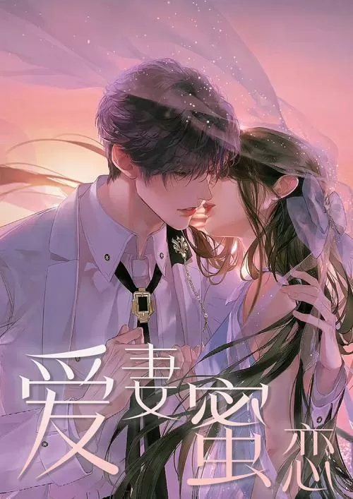 蜜婚之权少的爱妻免费阅读