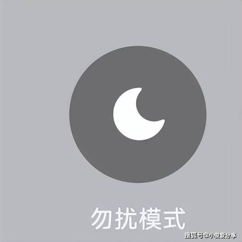 王者勿扰模式功能