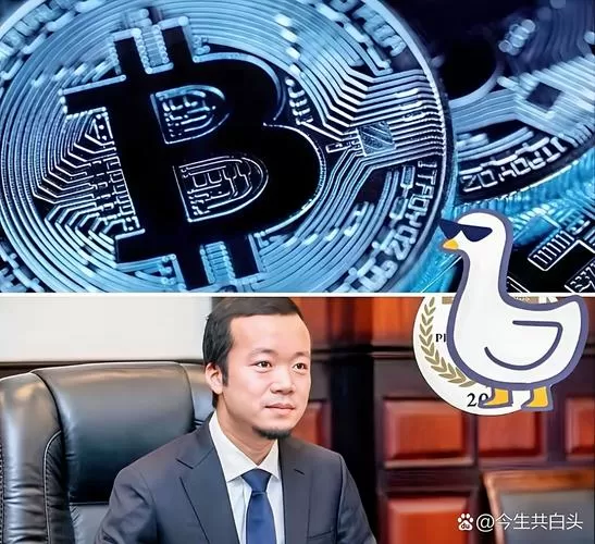 bhd币创始人是谁