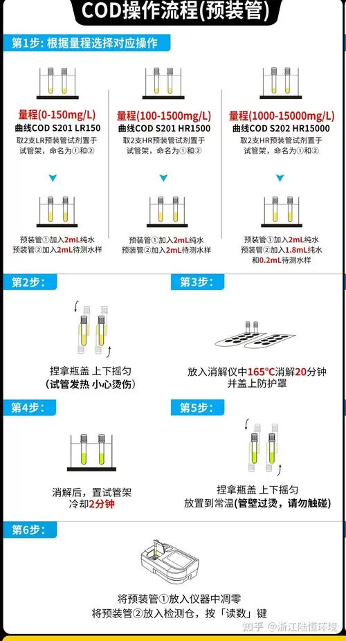 问道宠物洗点怎么洗