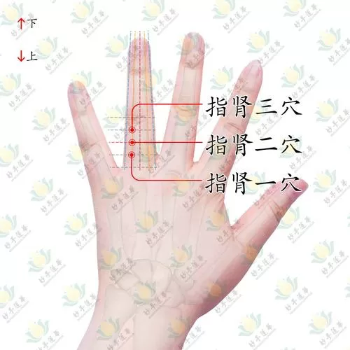 董氏奇针一一部歌诀
