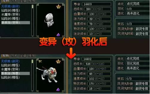 问道普通宠物怎么变异
