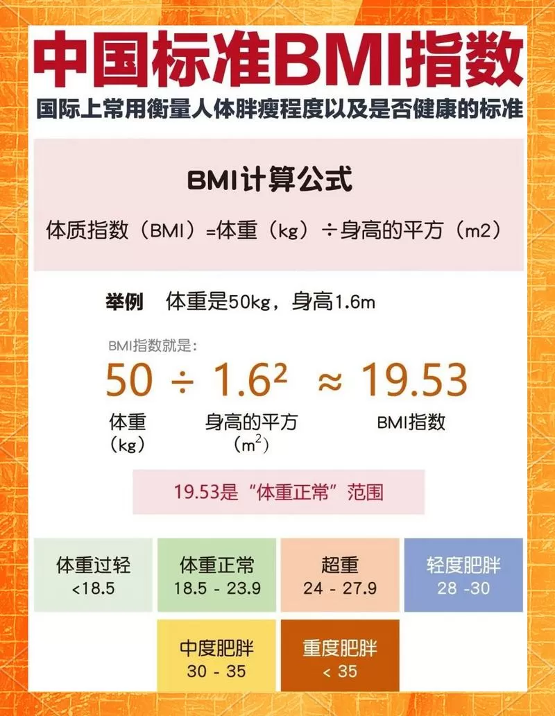 bmi体重指数怎么计算
