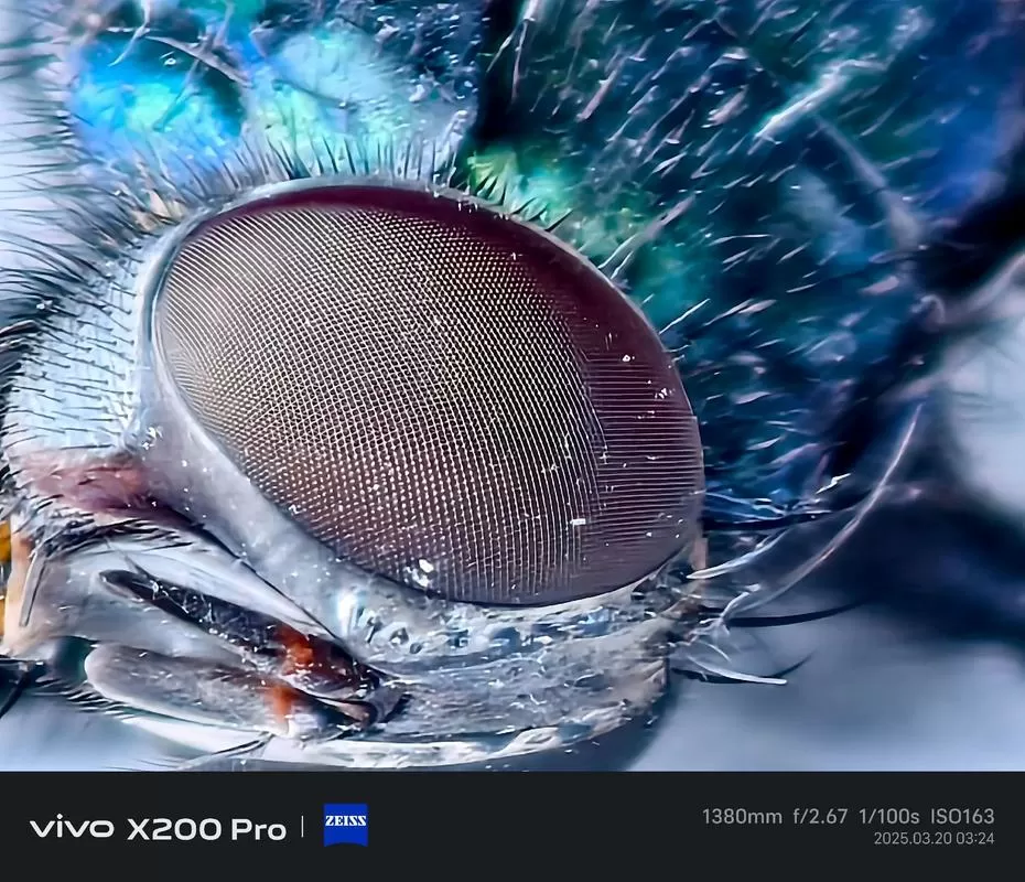 vivox200pro微距在哪调出