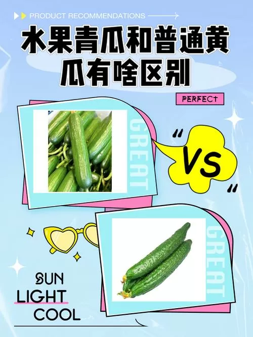 青瓜和黄瓜是一个东西吗