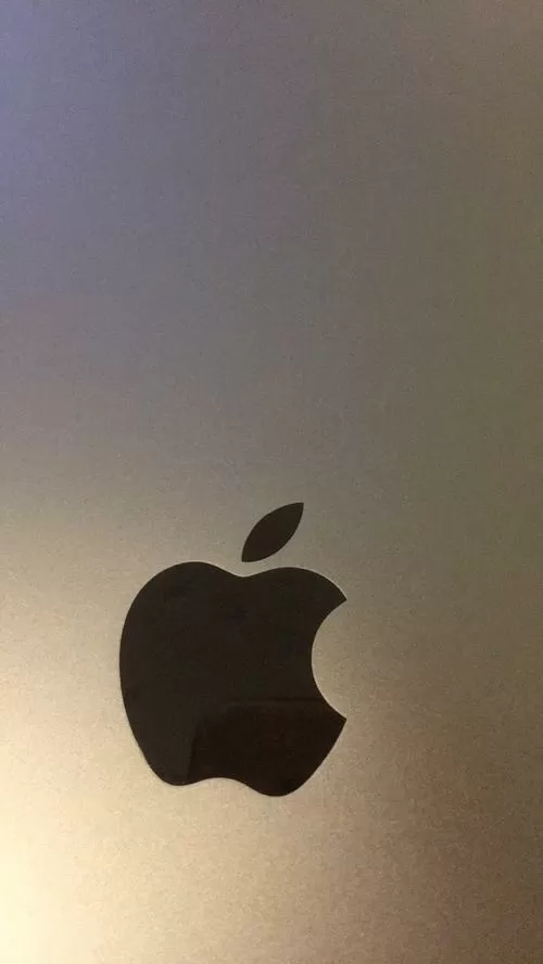 苹果ipad屏幕有类似水印痕迹