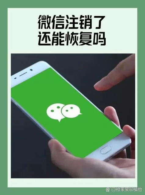 注销微信支付还能恢复吗