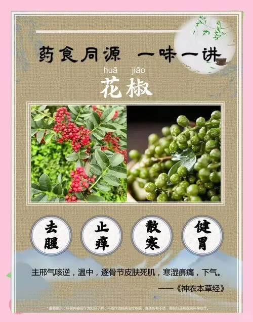 皱皮椒的功效与作用
