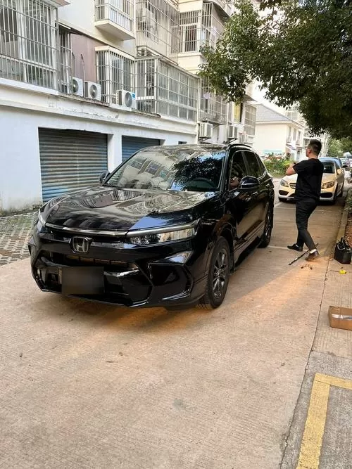口袋妖怪绿宝石金手指代码2023安装到手机游戏截图