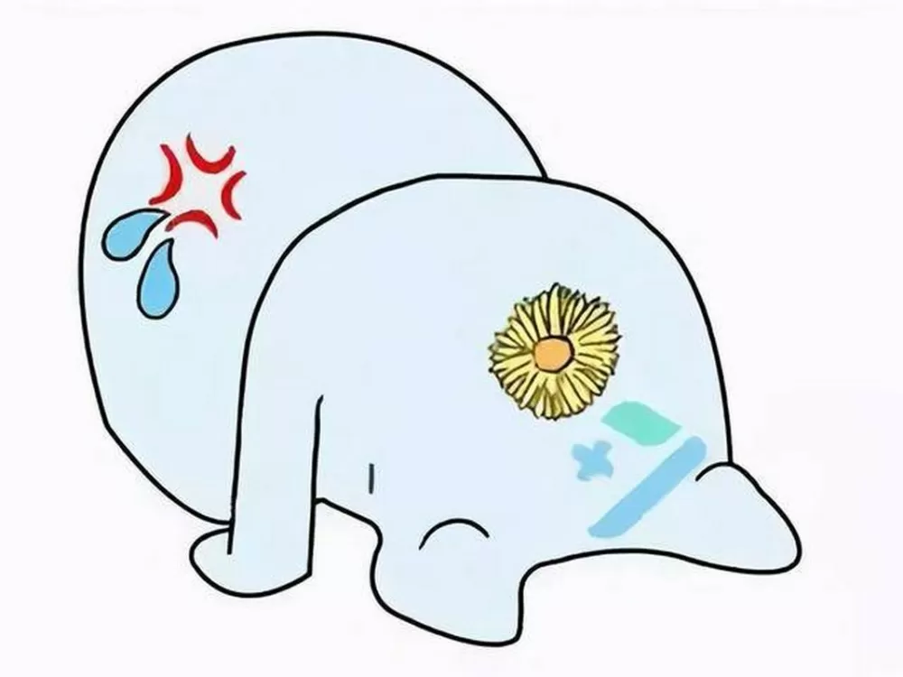 肛门坠痛