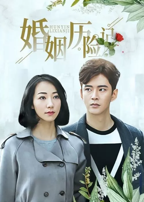 电视剧婚姻历险记播放