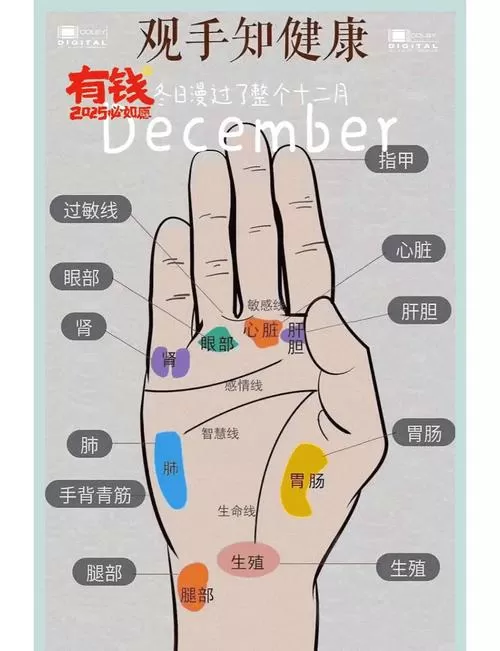 女生右手三条线图解