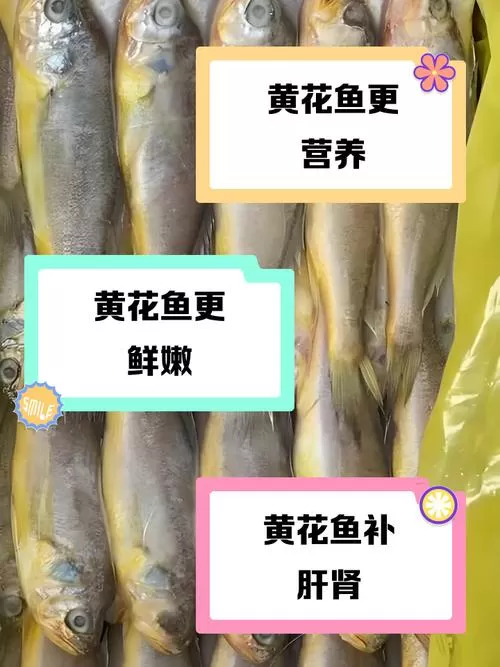 黄花和鲈鱼哪个档次高
