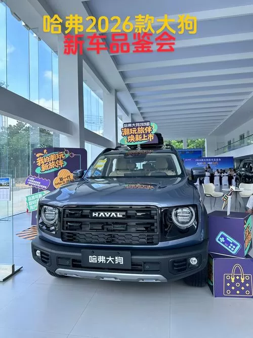 哈弗大狗语音设置