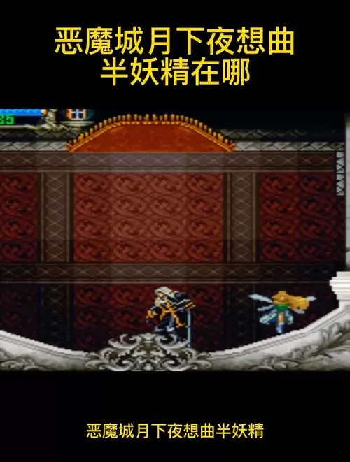 月下夜想曲半妖精在哪