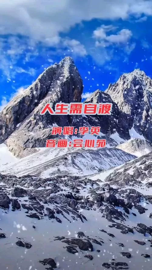 人生需自渡纯音乐完整版