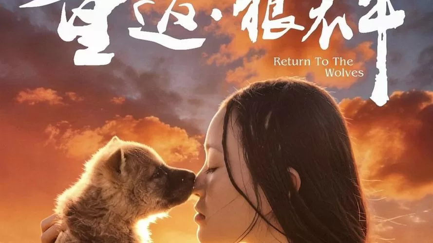 在线观看纪录片