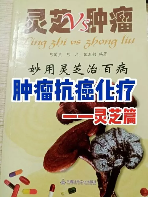 癌晚期喝了三个月灵芝水