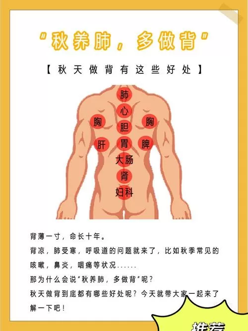 开背是补气还是泄气