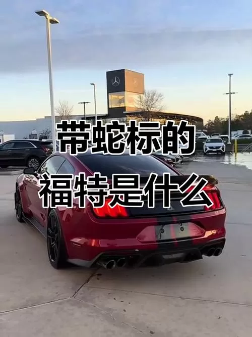福特蝰蛇