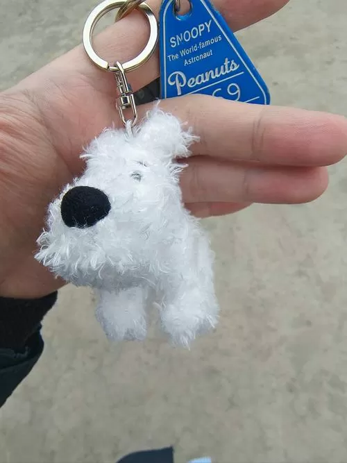 丁丁历险记的狗是什么品种