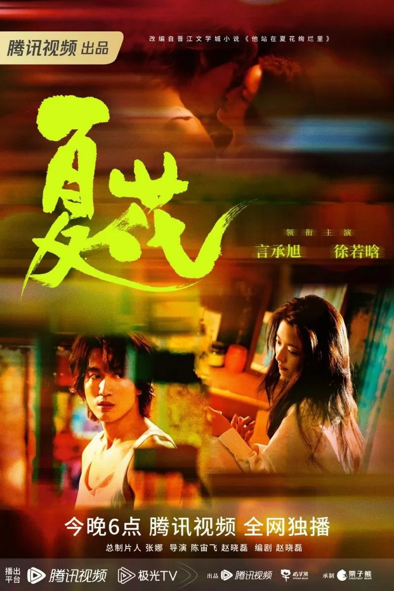 夏花电视剧