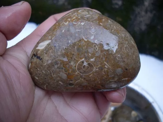 雨花石是哪里的