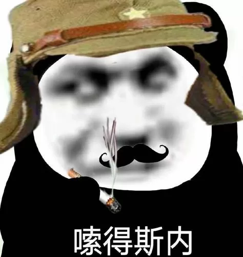 搜的死内的意思