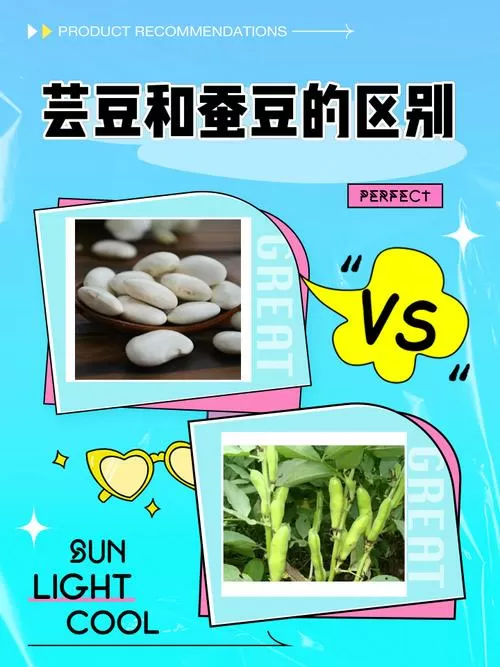 蚕豆和云豆的区别