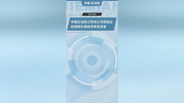 杨生榛接受审查调查