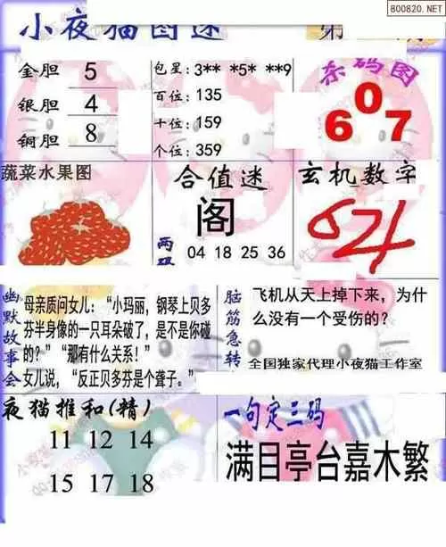 福彩3d小夜猫图谜
