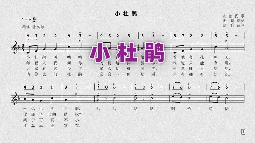 小杜鹃歌曲原唱