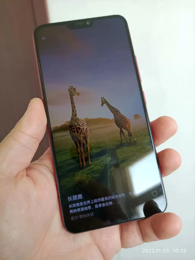 vivoy85a双卡设置在哪