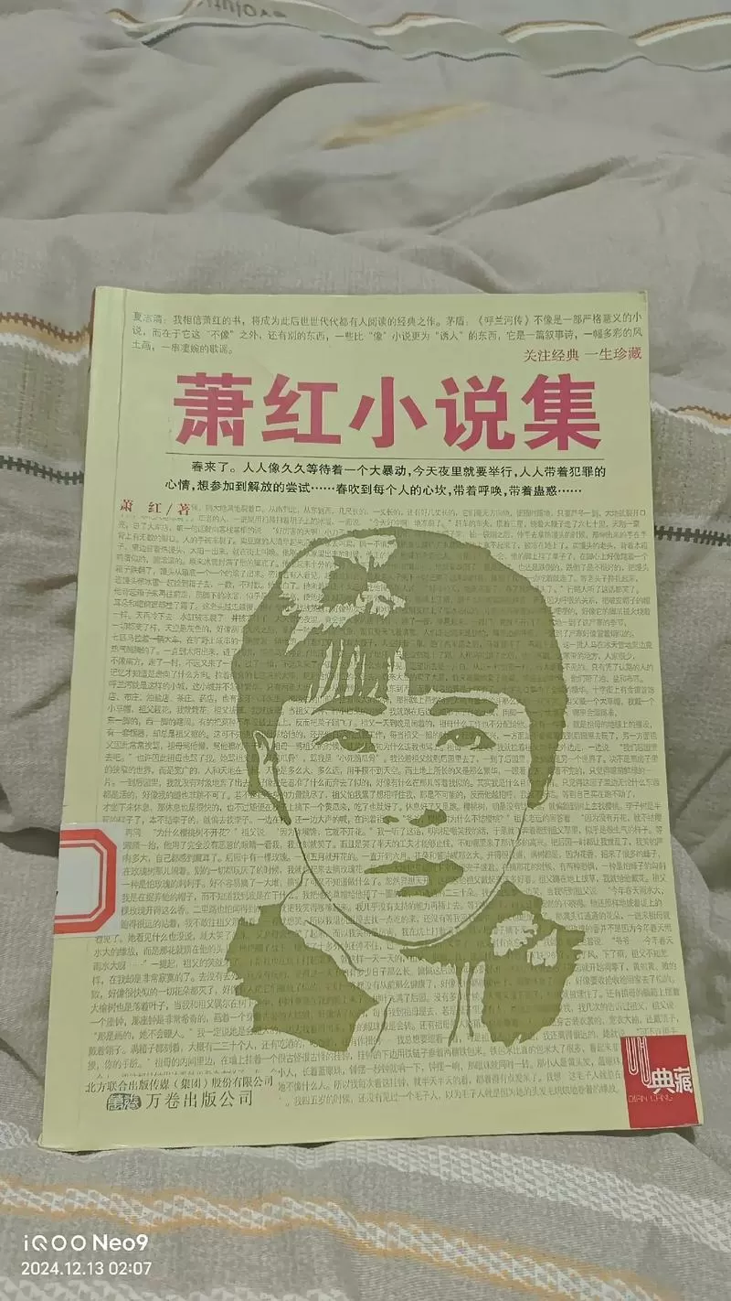 王大明萧红小说免费全文